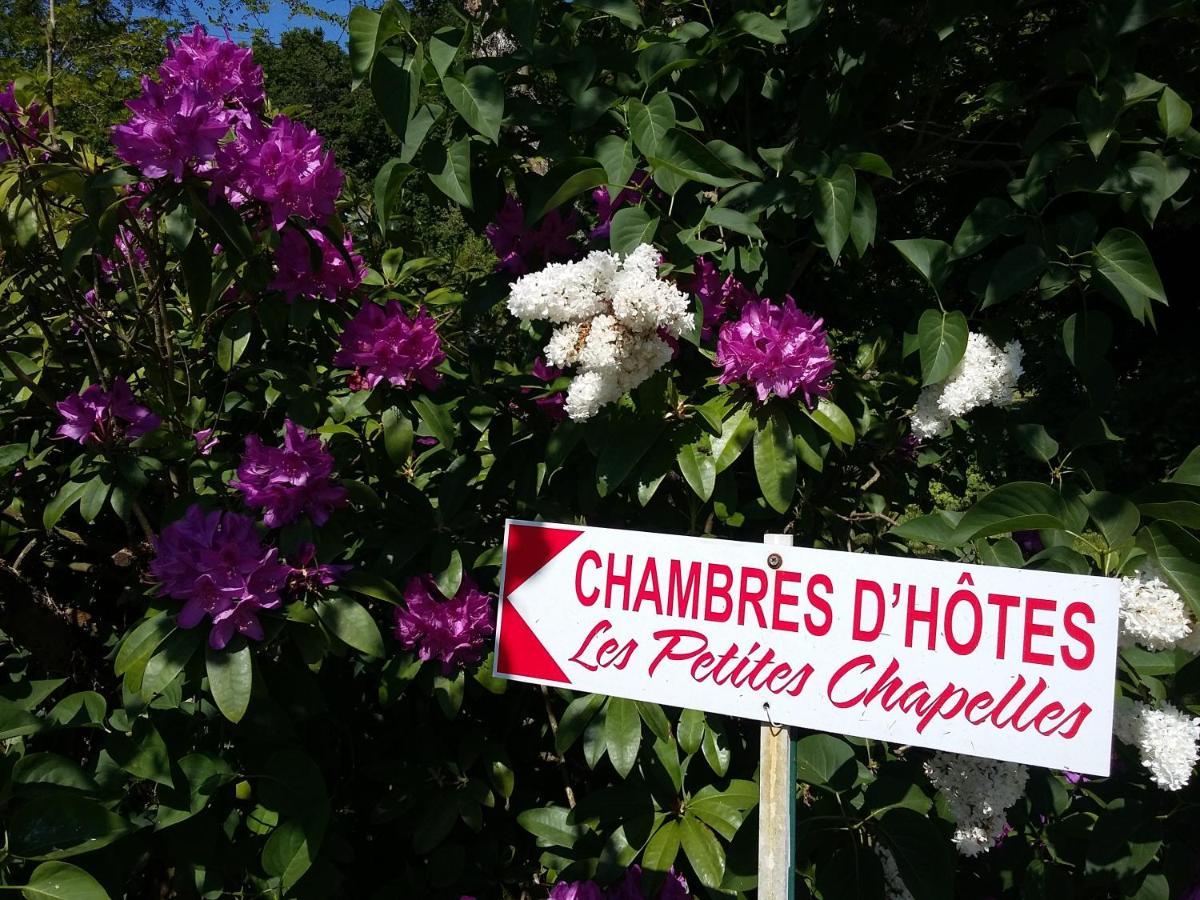 Saint-Pierre-de-Plesguen Les Petites Chapelles Bed & Breakfast エクステリア 写真
