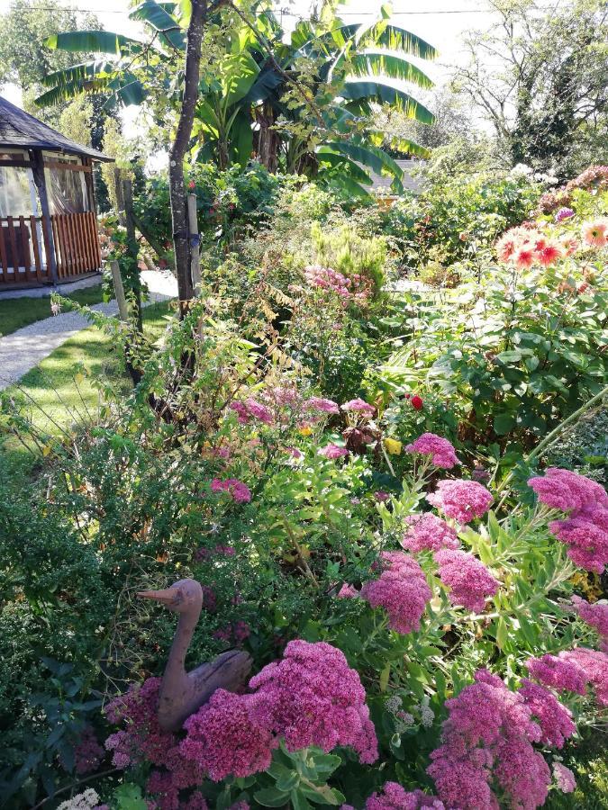Saint-Pierre-de-Plesguen Les Petites Chapelles Bed & Breakfast エクステリア 写真